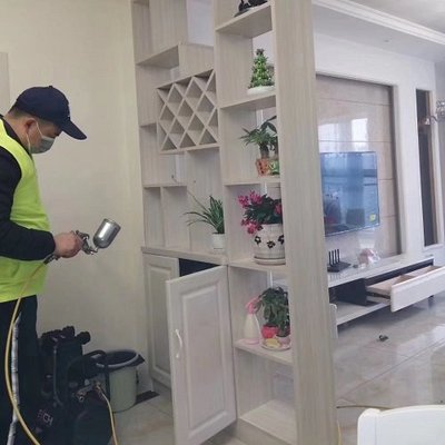 贵州治理甲醛的公司