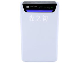 安溪专业甲醛检测机构
