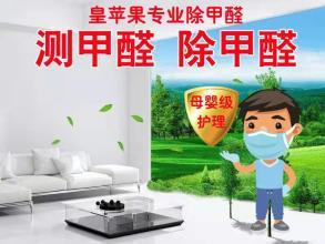 甲醛治理空气净化提供工装甲醛治理服务