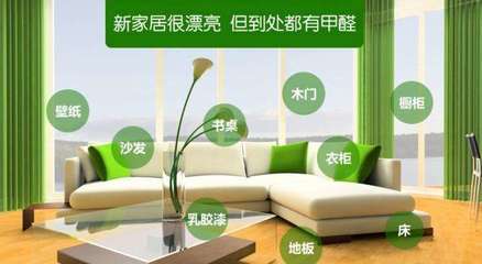 浙江除甲醛产品,选购环保家居的明智之选